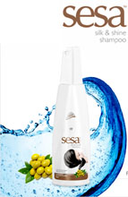 shine-shampoo