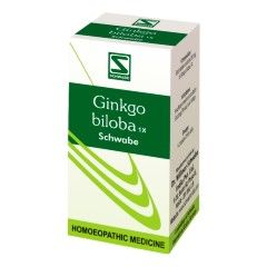 Dr. Willmar’s Homeopathic Ginkgo Biloba 1X Tablets For Insufficient Cerebral Circulation, Memory Loss, Insomnia, Tinnitus,  Buzzing & Vertigo Treatments